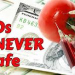 GMOs and disease