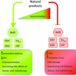 antioxidants and chemotherapy
