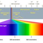full spectrum light