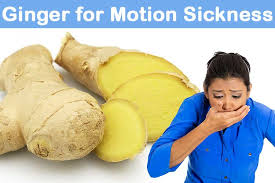 ginger for motion sickness