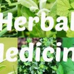 herbal medicine