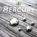 mercury toxicity
