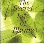 secret life of plants