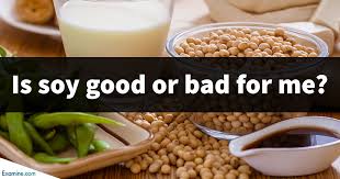 soya good or bad