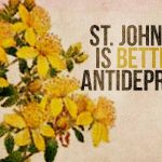 st-johns-wort and depression