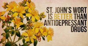 st-johns-wort and depression