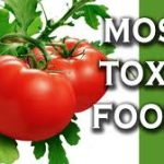 toxic foods