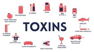 toxins and health