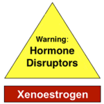 xenoestrogens and health