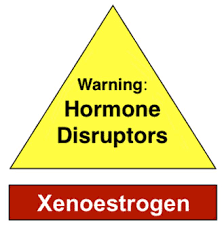 xenoestrogens and health