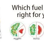 metabolic typing