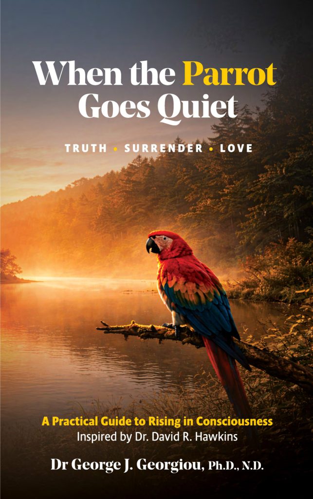 Cover of When the Parrot Goes Quiet: Truth, Surrender, Love