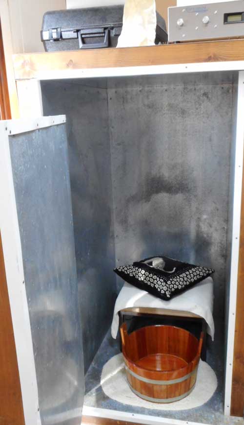 An ionizing detox footbath