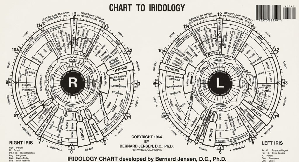 Iridology chart developed by Bernard Jensen, D.C., Ph.D., showing the right and left iris